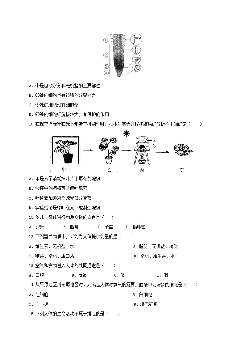 初中生物中考复习 必刷卷02：2020年中考生物仿真模拟必刷卷（人教通用版）(原卷版)第2页