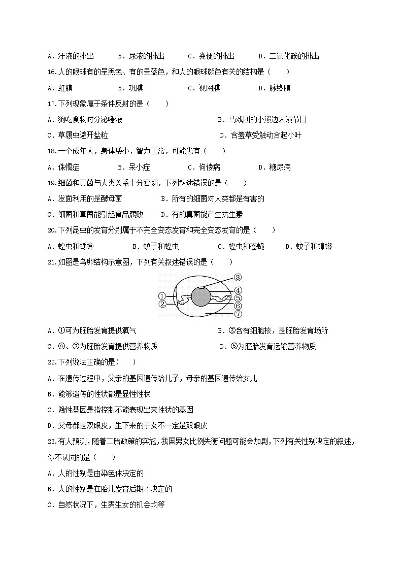 初中生物中考复习 必刷卷02：2020年中考生物仿真模拟必刷卷（人教通用版）(原卷版)第3页