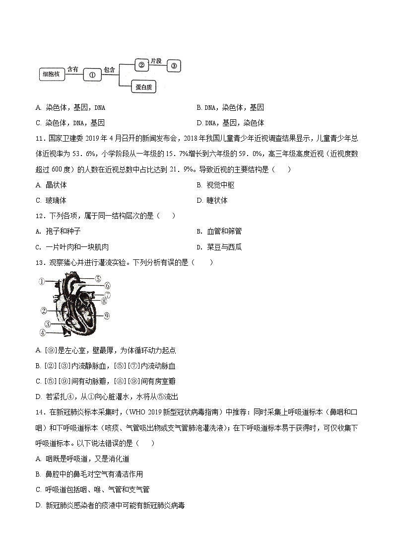 初中生物中考复习 必刷卷03-2021年中考生物考前信息必刷卷（人教版）（原卷版）第3页