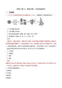 初中生物中考复习 冲刺小卷02 细胞分裂、分化形成组织-2020年《三步冲刺中考·生物》之最新模考分类冲刺小卷(人教通用版)（解析版）