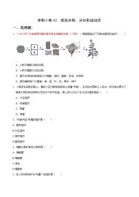 初中生物中考复习 冲刺小卷02 细胞分裂、分化形成组织-2020年《三步冲刺中考·生物》之最新模考分类冲刺小卷(人教通用版)（原卷版）