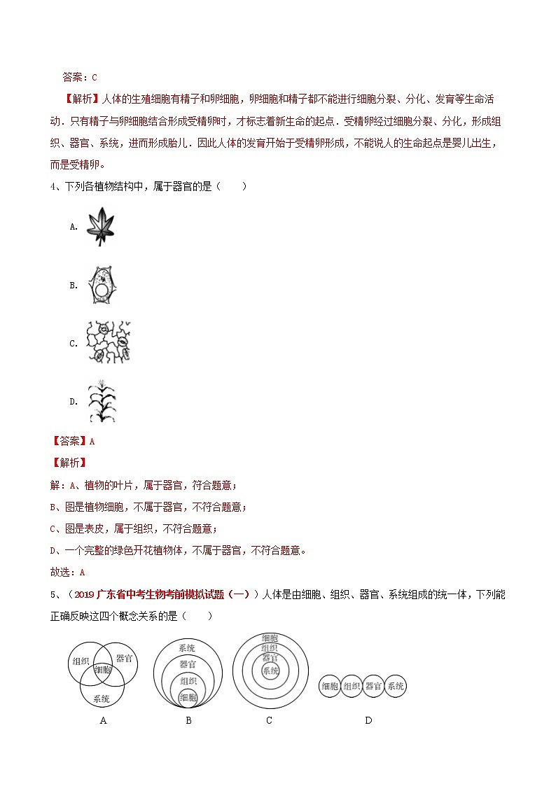 初中生物中考复习 冲刺小卷03 多细胞生物的结构层次-2020年《三步冲刺中考·生物》之最新模考分类冲刺小卷(人教通用版)（解析版）02
