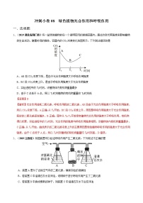 初中生物中考复习 冲刺小卷08 绿色植物光合作用和呼吸作用-2020年《三步冲刺中考·生物》之最新模考分类冲刺小卷(人教通用版)(解析版)