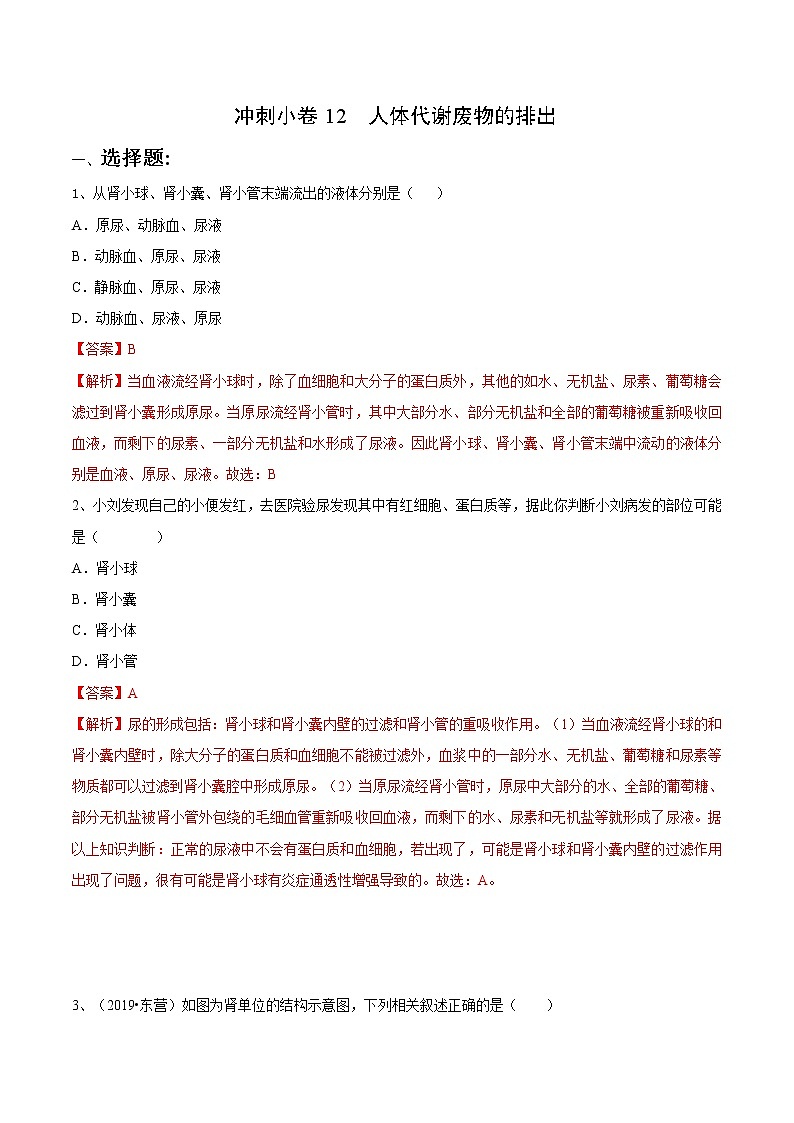 初中生物中考复习 冲刺小卷12 人体代谢废物的排出-2020年《三步冲刺中考·生物》之最新模考分类冲刺小卷(人教通用版)(解析版)01