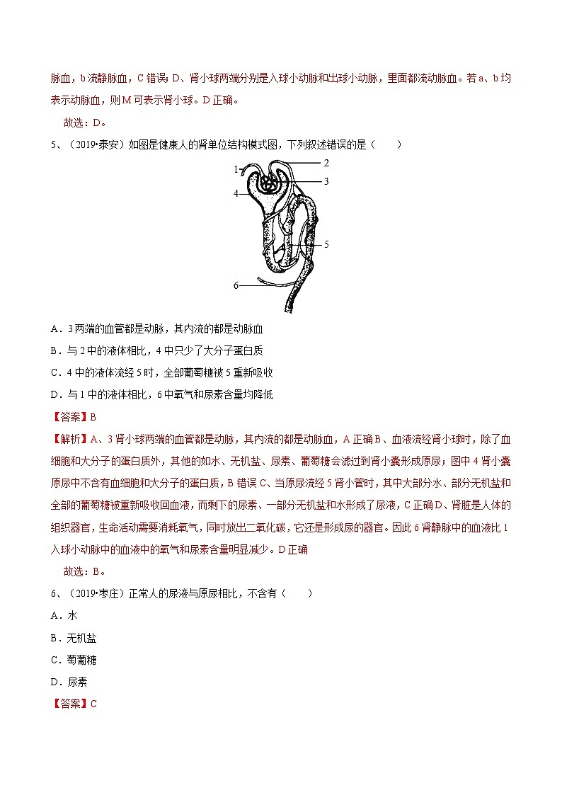 初中生物中考复习 冲刺小卷12 人体代谢废物的排出-2020年《三步冲刺中考·生物》之最新模考分类冲刺小卷(人教通用版)(解析版)03