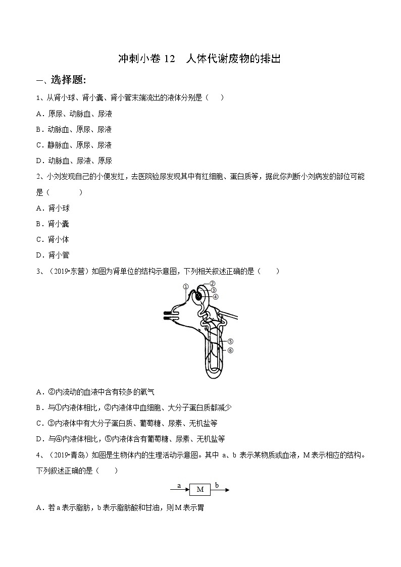 初中生物中考复习 冲刺小卷12 人体代谢废物的排出-2020年《三步冲刺中考·生物》之最新模考分类冲刺小卷(人教通用版)(原卷版)01