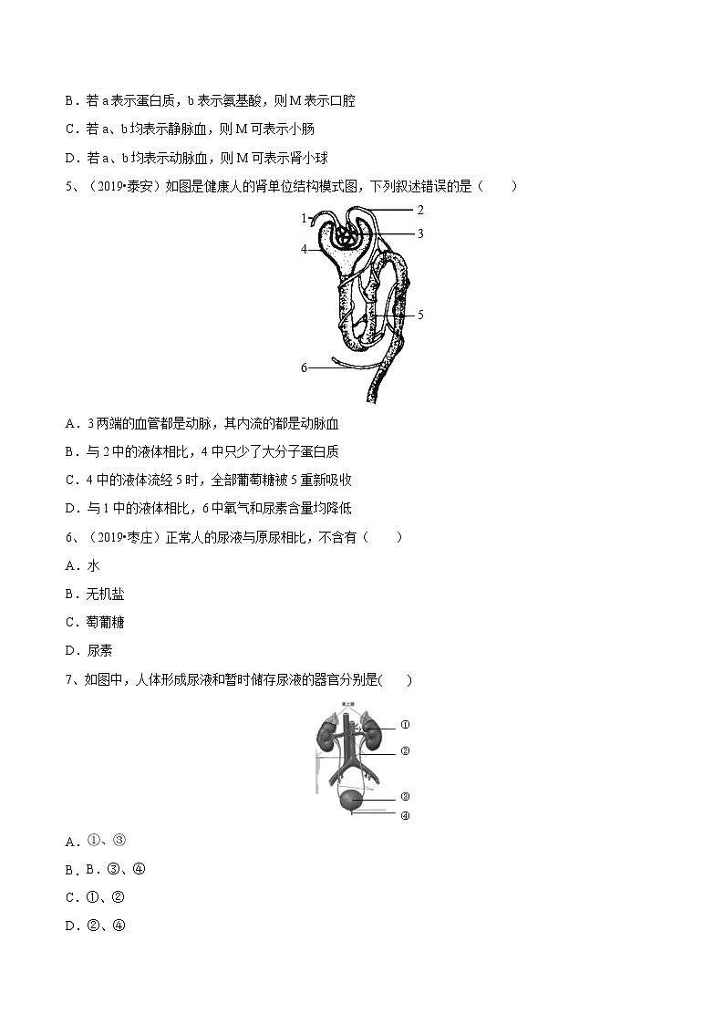 初中生物中考复习 冲刺小卷12 人体代谢废物的排出-2020年《三步冲刺中考·生物》之最新模考分类冲刺小卷(人教通用版)(原卷版)02