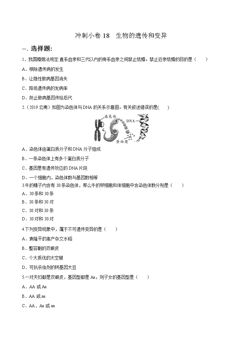 初中生物中考复习 冲刺小卷18 生物的遗传和变异-2020年《三步冲刺中考·生物》之最新模考分类冲刺小卷(人教通用版)(原卷版)第1页