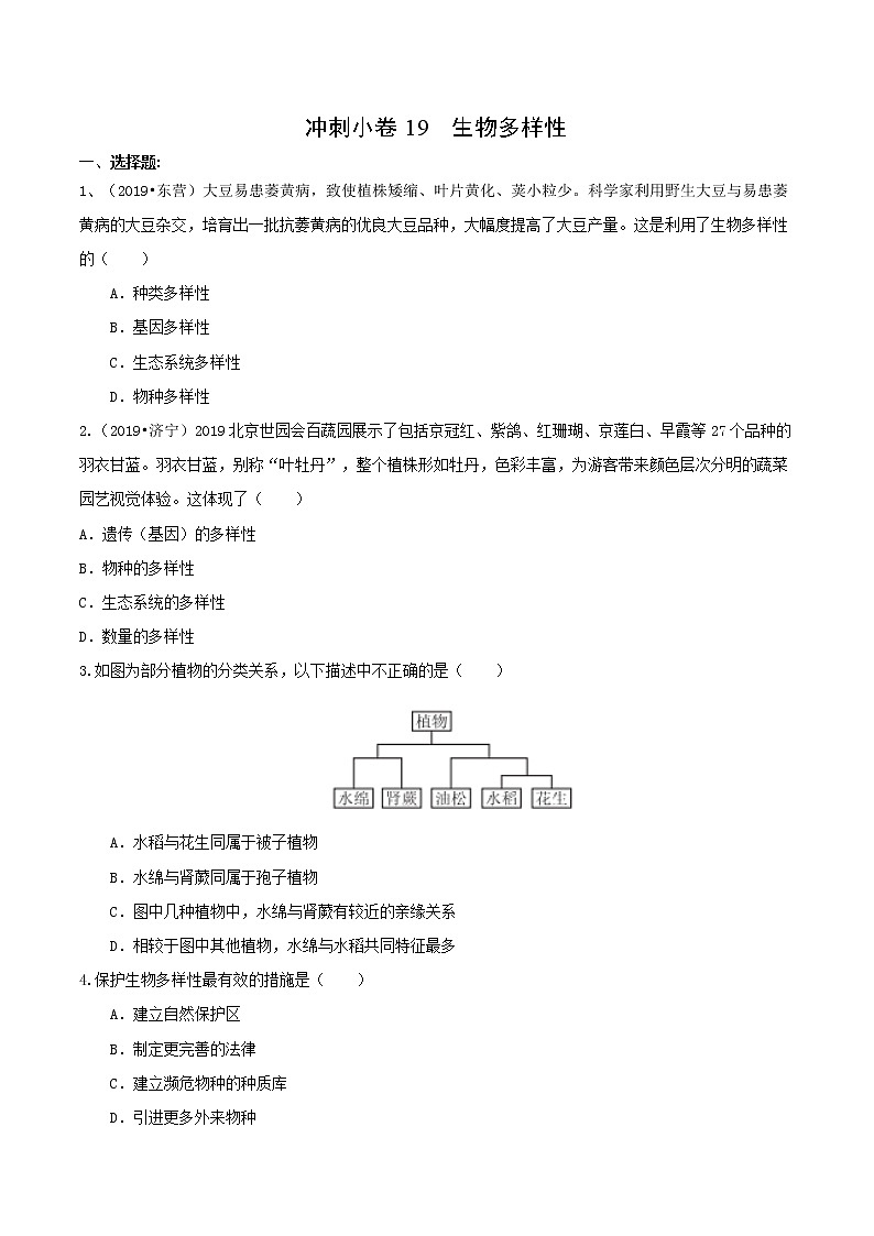 初中生物中考复习 冲刺小卷19 生物多样性-2020年《三步冲刺中考·生物》之最新模考分类冲刺小卷(人教通用版)(原卷版)01