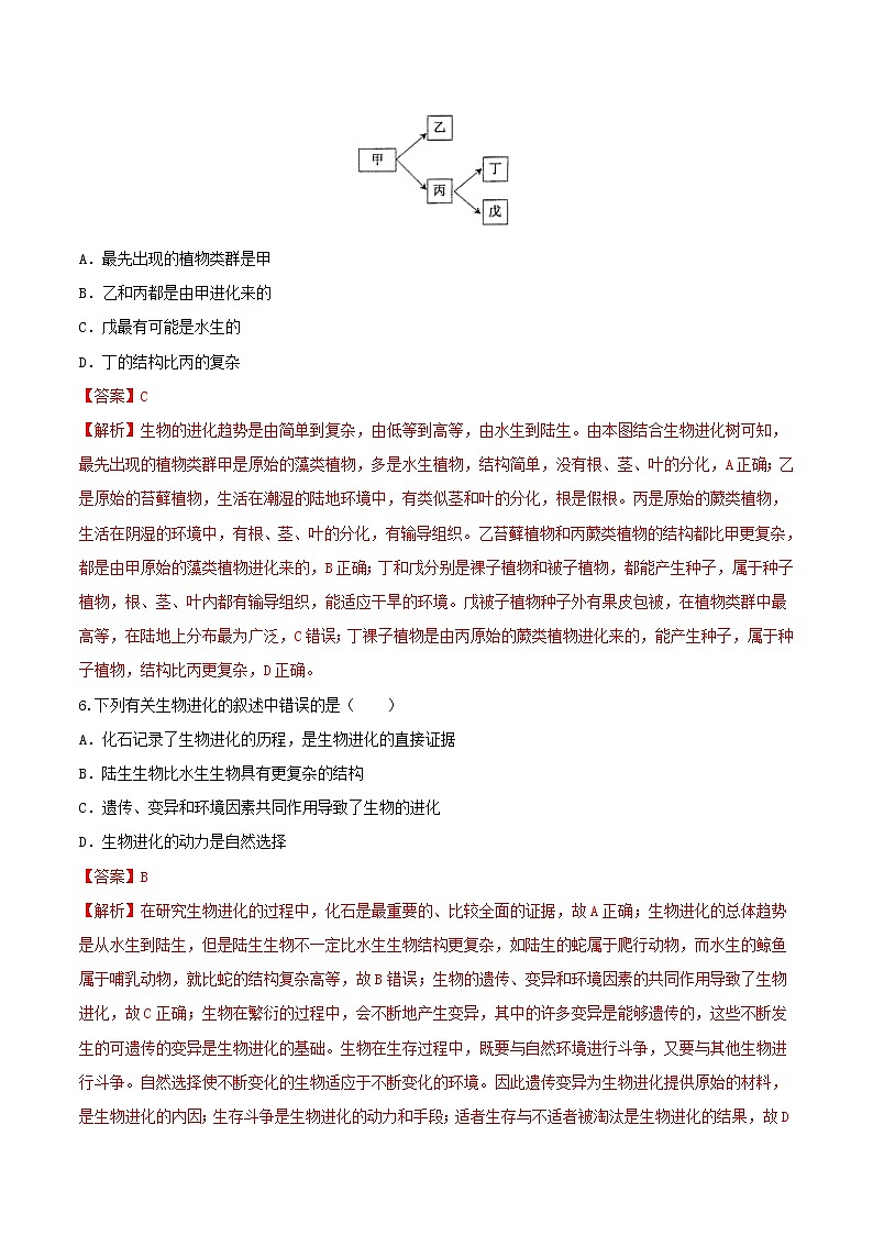 初中生物中考复习 冲刺小卷20 生物的起源和生物的进化-2020年《三步冲刺中考·生物》之最新模考分类冲刺小卷(人教通用版)(解析版)03