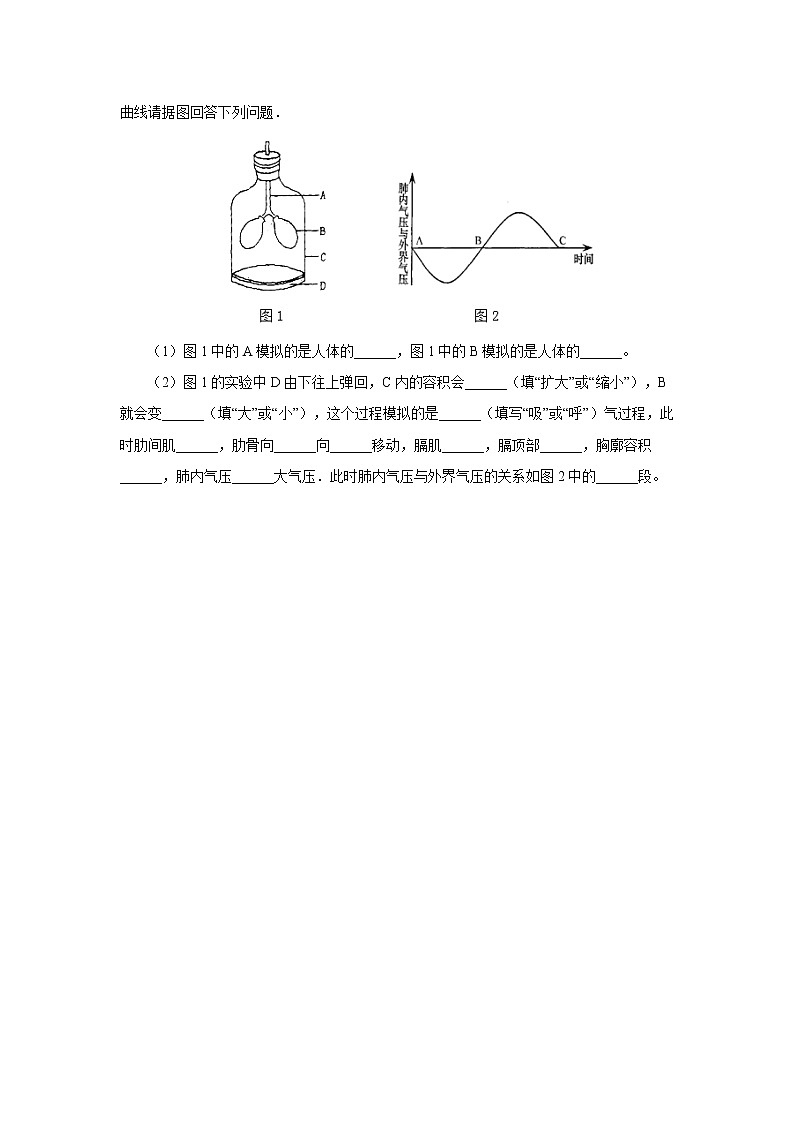 初中生物中考复习 初中生物实验突破（通用版）：膈肌运动的模拟实验课后作业第3页