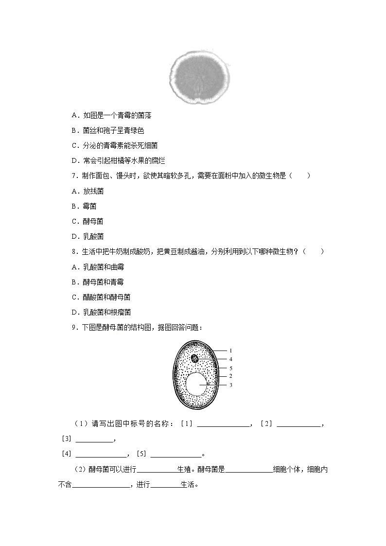 初中生物中考复习 初中生物实验突破（通用版）：观察酵母菌和霉菌课后作业02