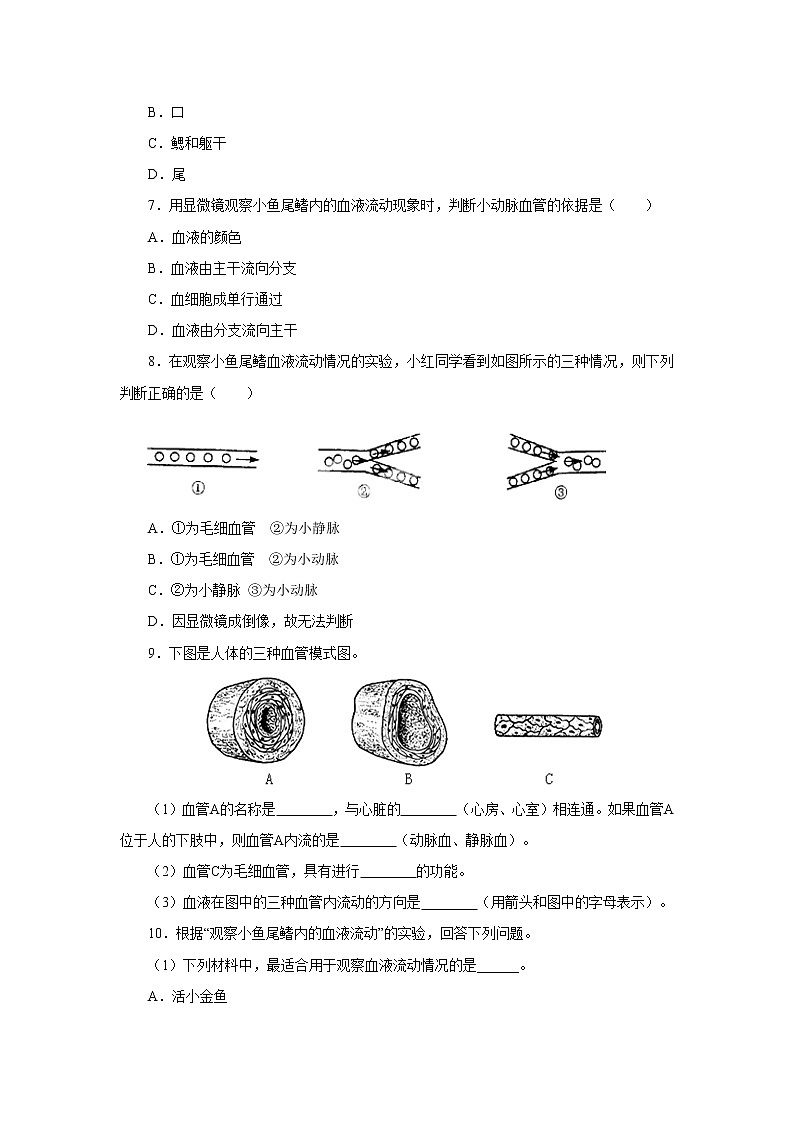 初中生物中考复习 初中生物实验突破（通用版）：观察小鱼尾鳍内血液的流动课后作业02