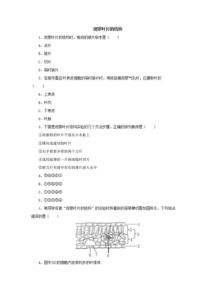 初中生物中考复习 初中生物实验突破（通用版）：观察叶片的结构课后作业第1页