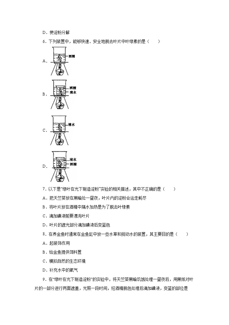 初中生物中考复习 初中生物实验突破（通用版）：绿叶在光下制造有机物课后作业第2页