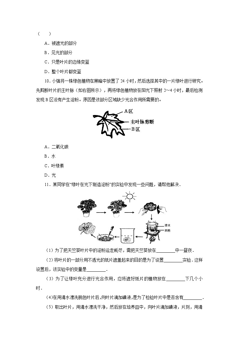 初中生物中考复习 初中生物实验突破（通用版）：绿叶在光下制造有机物课后作业第3页