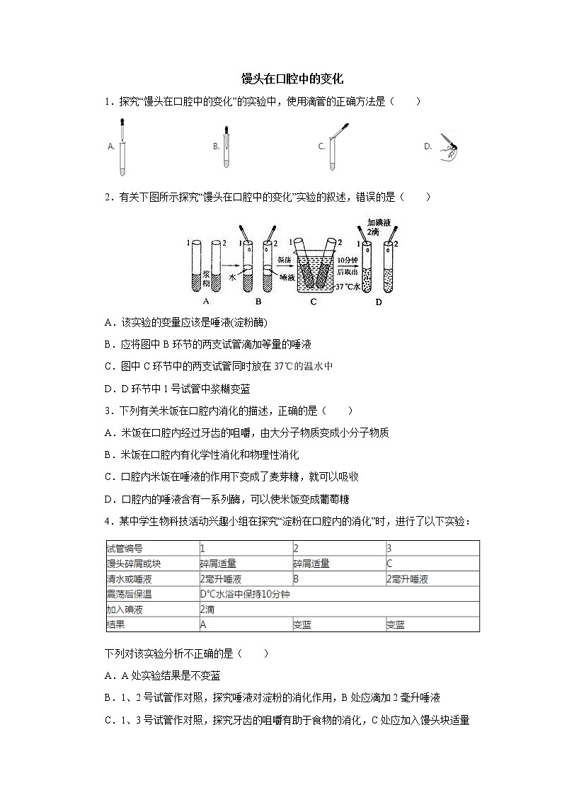 初中生物中考复习 初中生物实验突破（通用版）：馒头在口腔中的变化课后作业01
