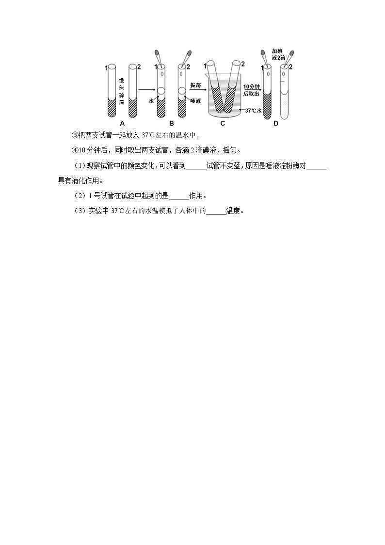 初中生物中考复习 初中生物实验突破（通用版）：馒头在口腔中的变化课后作业03