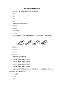 初中生物中考复习 初中生物实验突破（通用版）：制作并观察植物细胞临时装片课后作业