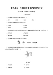 初中生物中考复习 第1讲 动物的主要类群