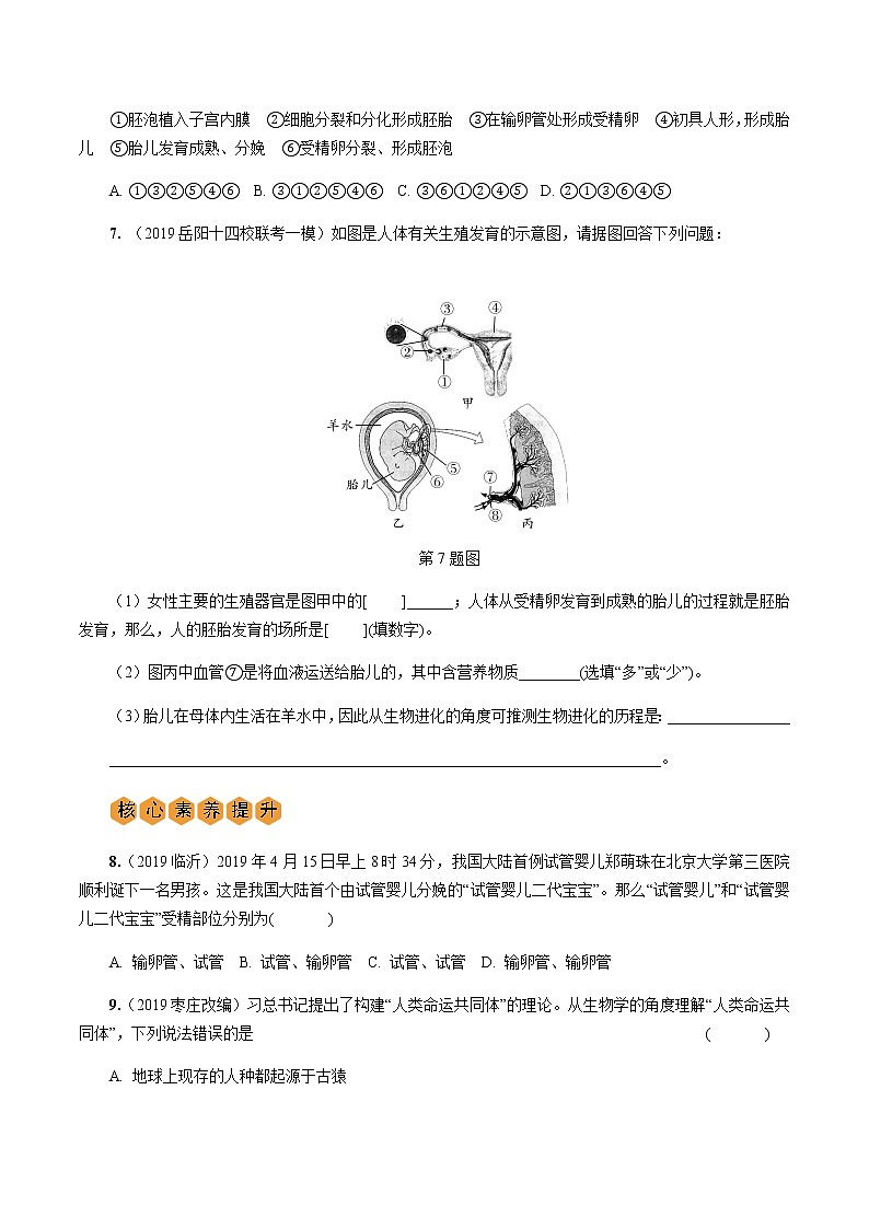 初中生物中考复习 第1讲 人的由来第2页