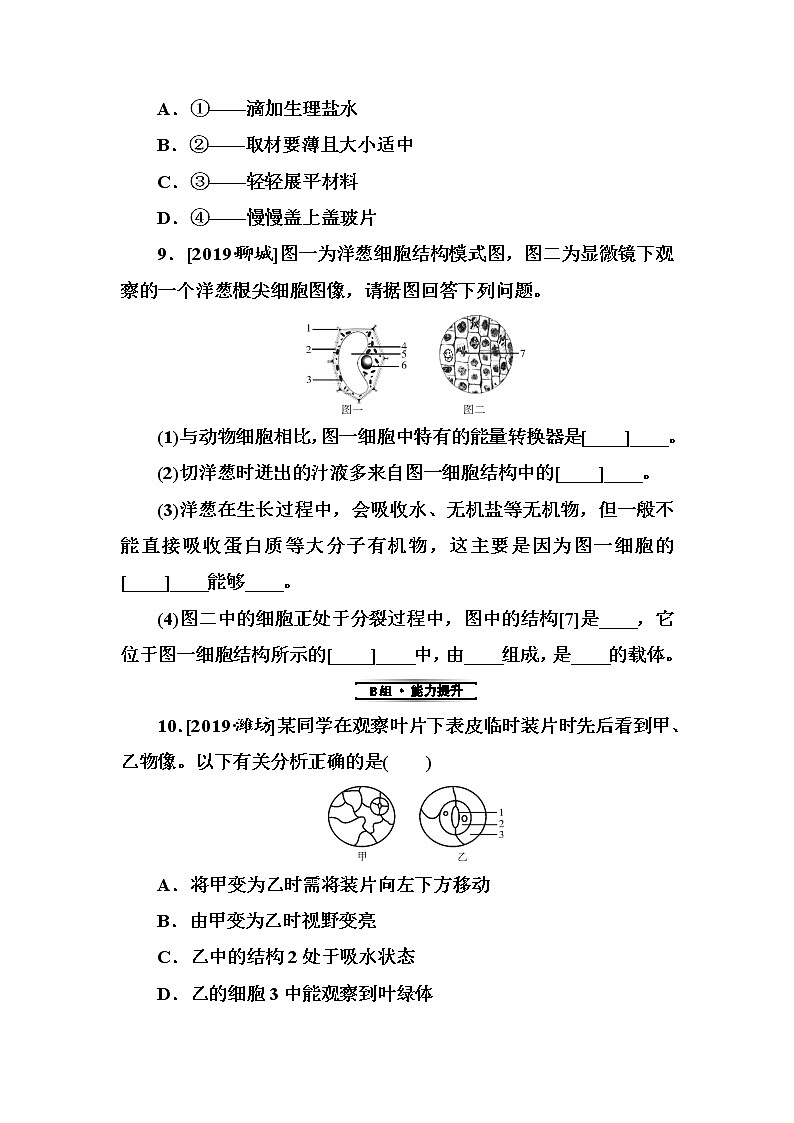 初中生物中考复习 第2单元　细胞是生命活动的基本单位第3页