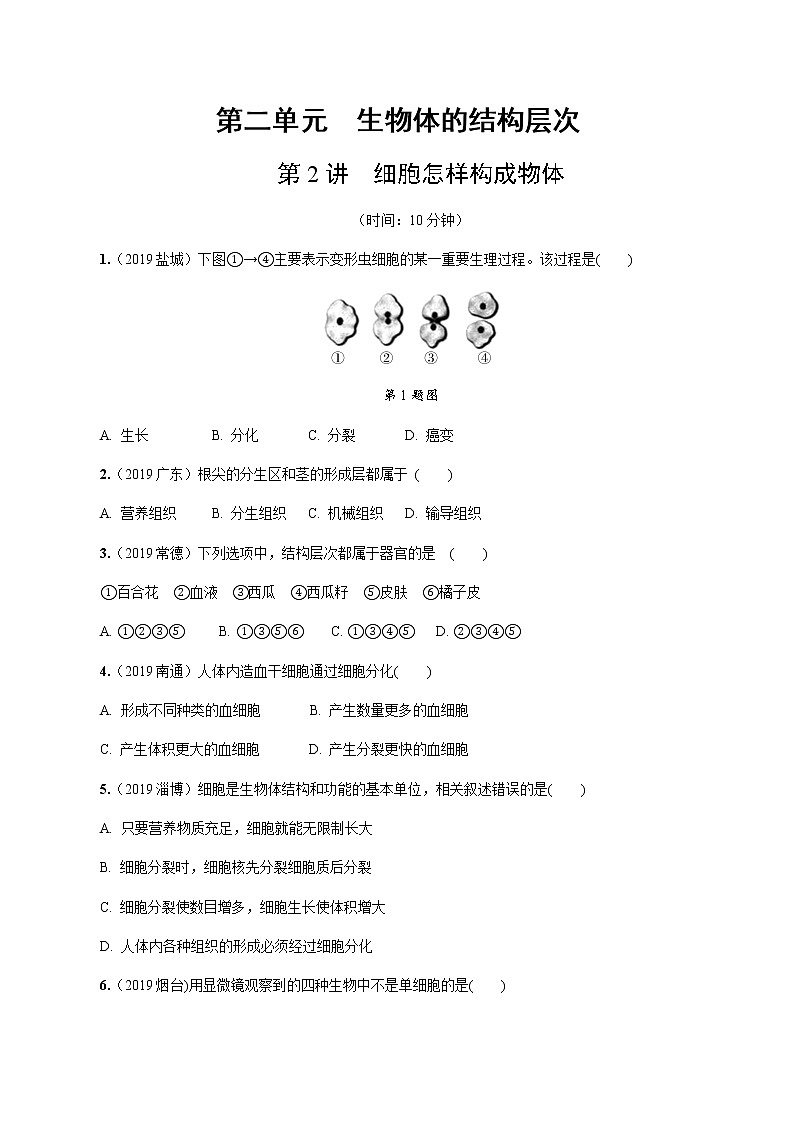 初中生物中考复习 第2讲 细胞怎样构成生物体 试卷01