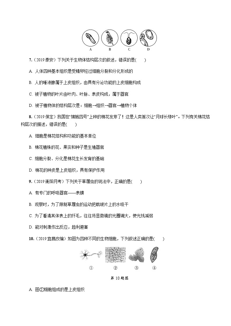 初中生物中考复习 第2讲 细胞怎样构成生物体 试卷02