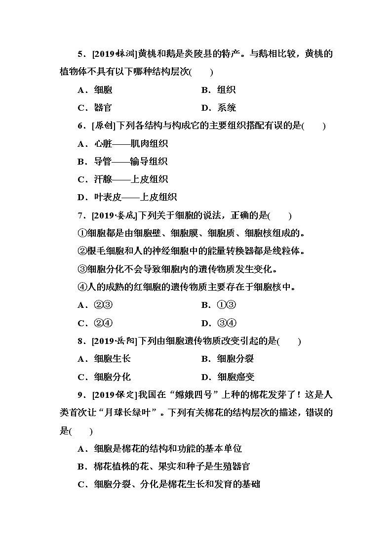 初中生物中考复习 第3单元　细胞怎样构成生物体第2页