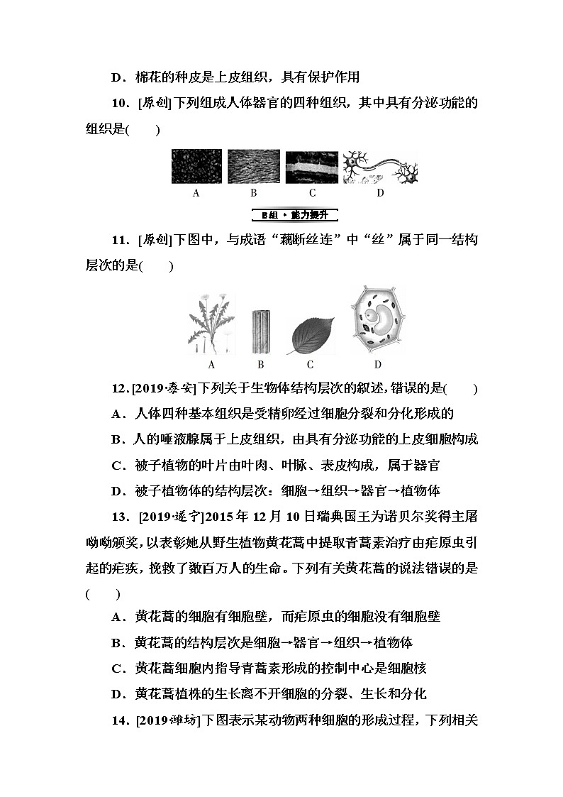 初中生物中考复习 第3单元　细胞怎样构成生物体第3页