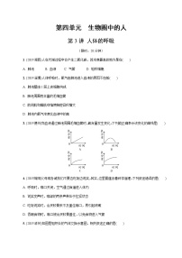 初中生物中考复习 第3讲 人体的呼吸