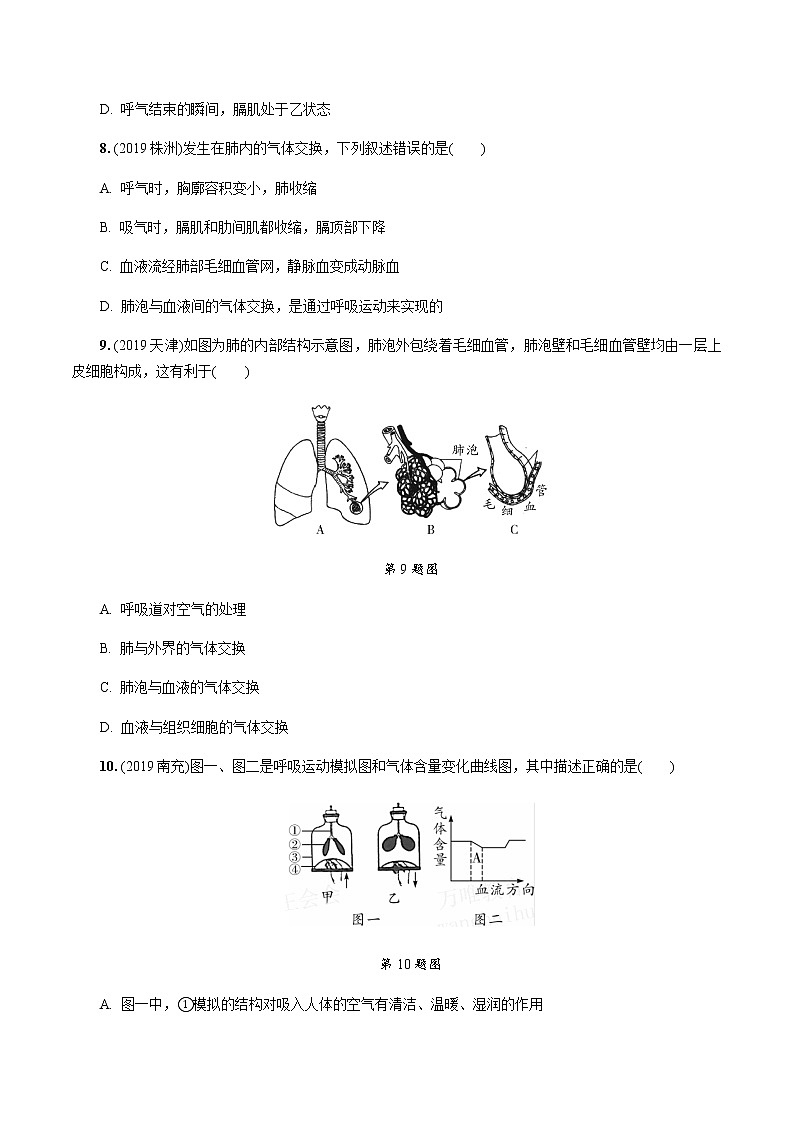 初中生物中考复习 第3讲 人体的呼吸 试卷03