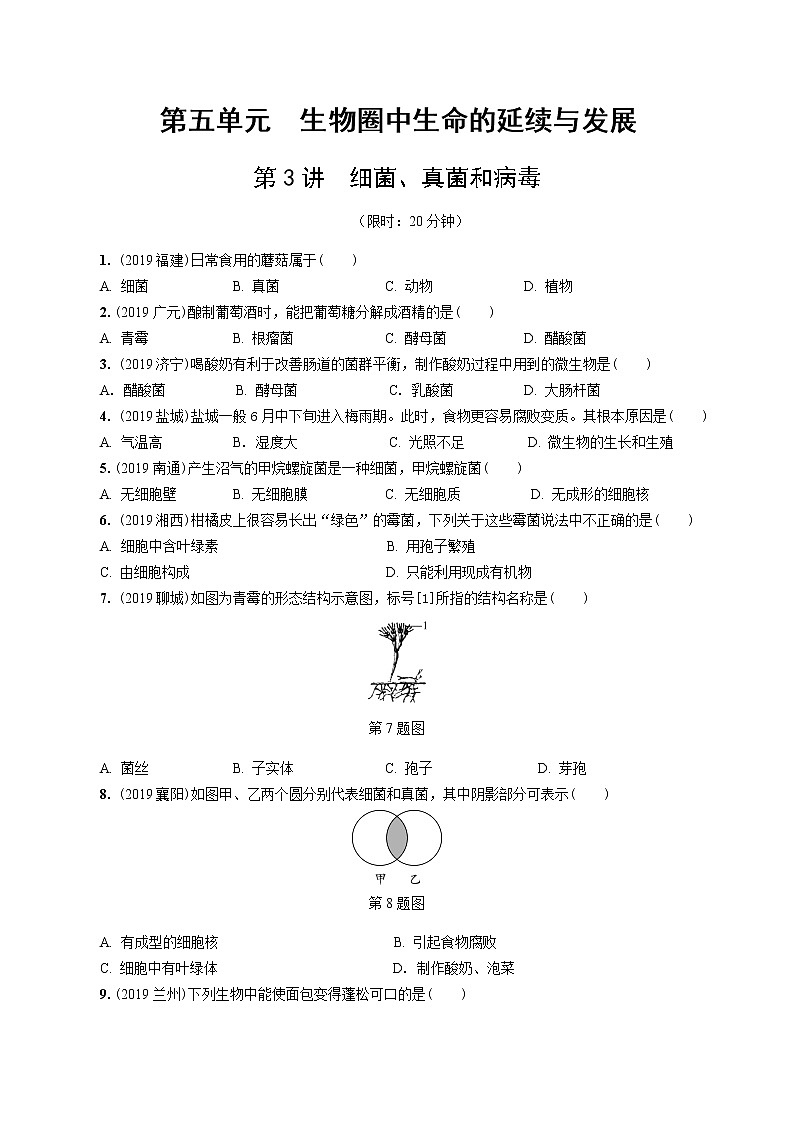 初中生物中考复习 第3讲 细菌、真菌和病毒 试卷01