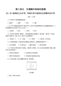 初中生物中考复习 第4讲 植物的光合作用、呼吸作用与植物在生物圈中的作用