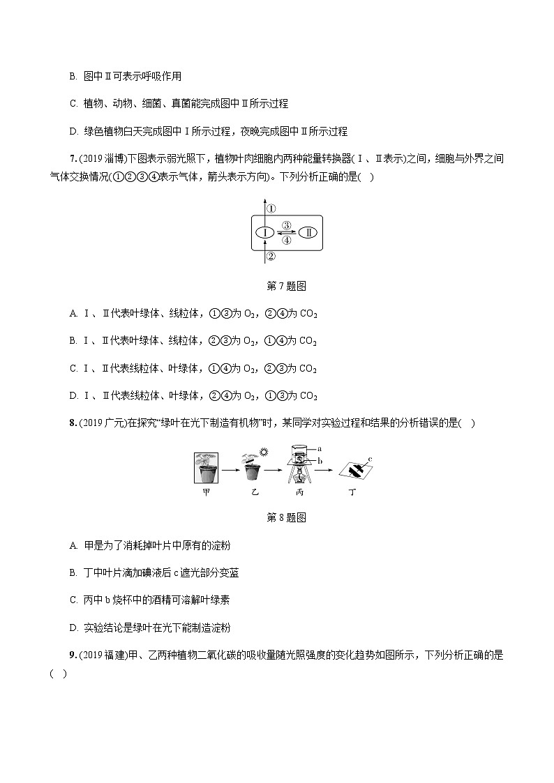 初中生物中考复习 第4讲 植物的光合作用、呼吸作用与植物在生物圈中的作用第2页