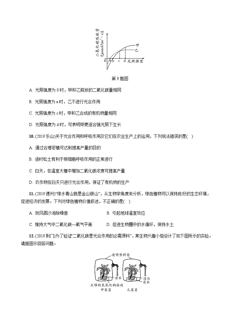 初中生物中考复习 第4讲 植物的光合作用、呼吸作用与植物在生物圈中的作用第3页
