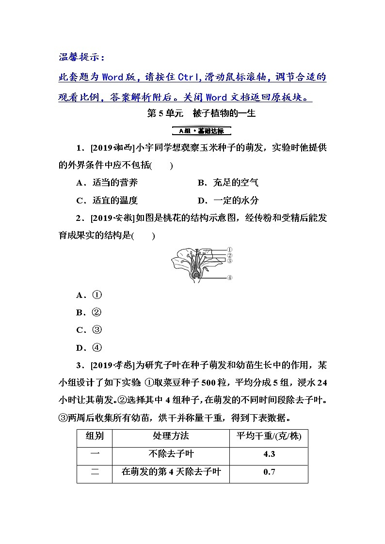 初中生物中考复习 第5单元　被子植物的一生第1页