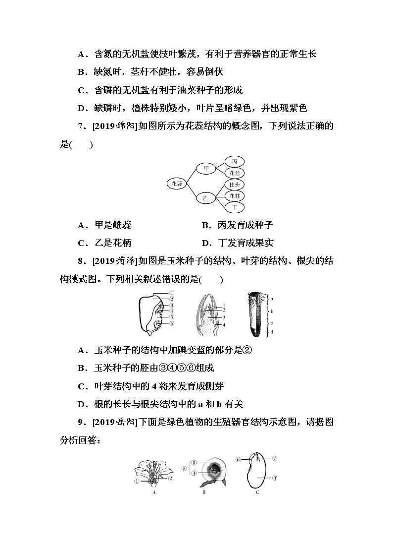 初中生物中考复习 第5单元　被子植物的一生第3页