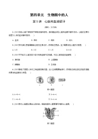 初中生物中考复习 第5讲 心脏和血液循环