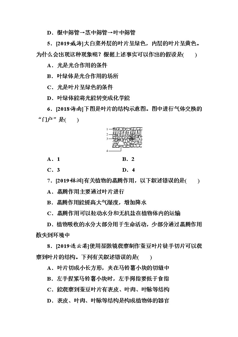初中生物中考复习 第6单元　绿色植物与生物圈的水循环 试卷02