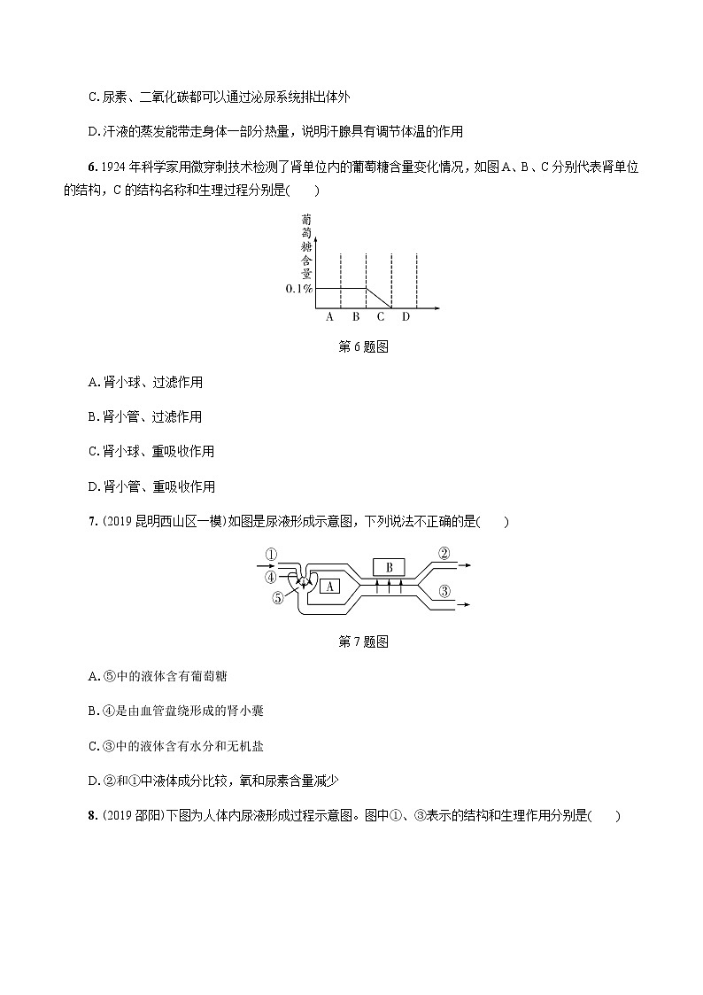 初中生物中考复习 第6讲 人体内废物的排出第2页