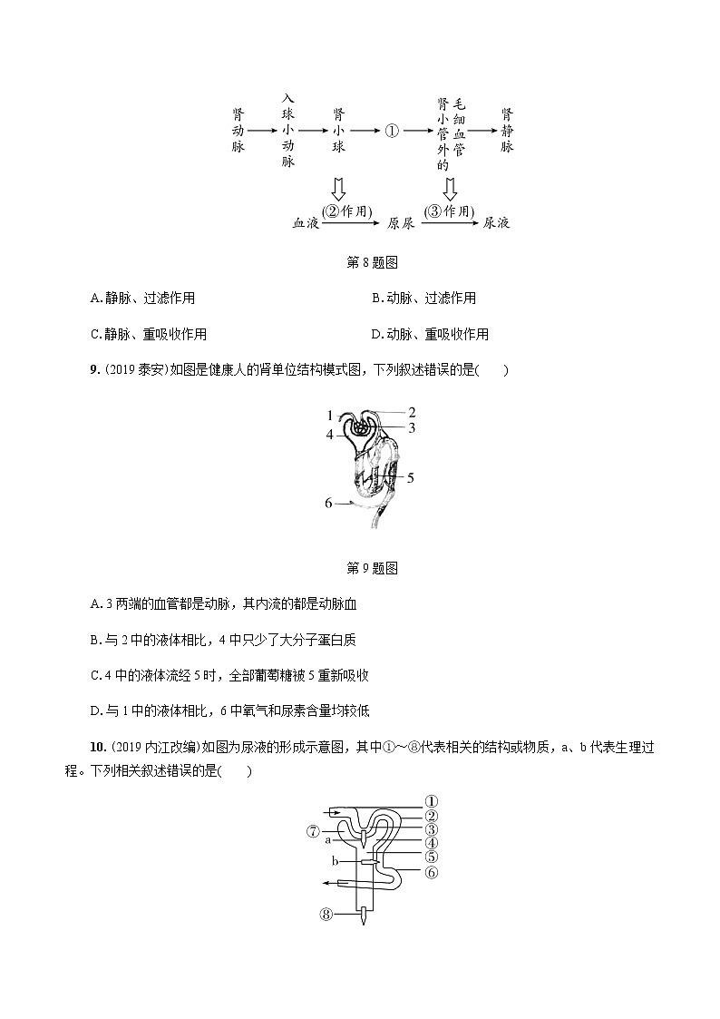初中生物中考复习 第6讲 人体内废物的排出第3页