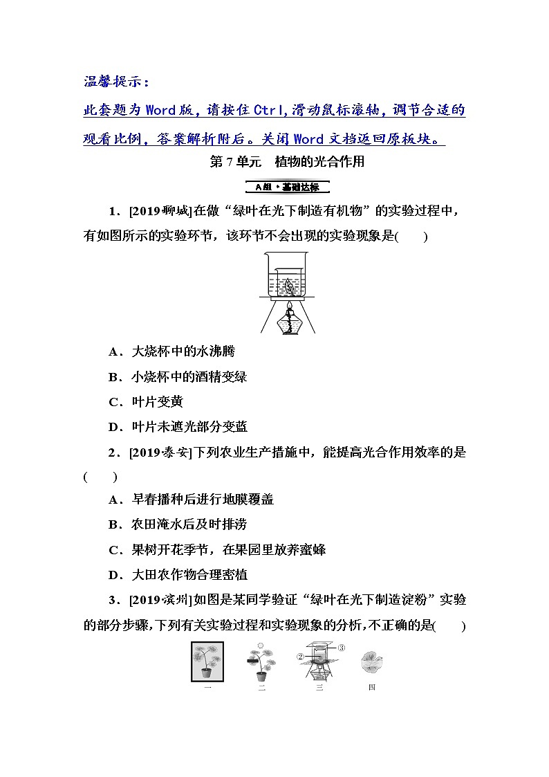 初中生物中考复习 第7单元　植物的光合作用 试卷01