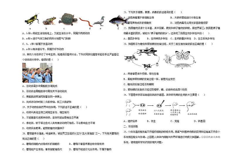 初中生物中考复习 仿真演练卷02-2022年中考生物模拟考场仿真演练卷（全国通用）（考试版）03