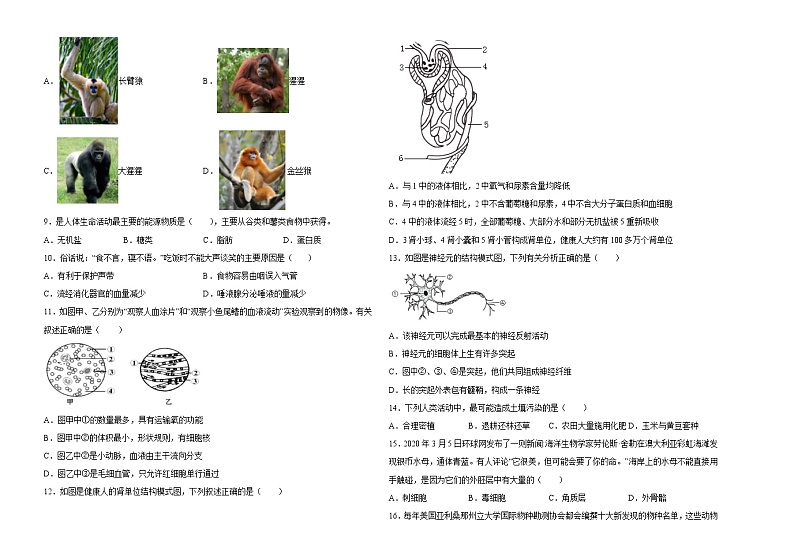 初中生物中考复习 仿真演练卷03-2022年中考生物模拟考场仿真演练卷（全国通用）（考试版）第2页