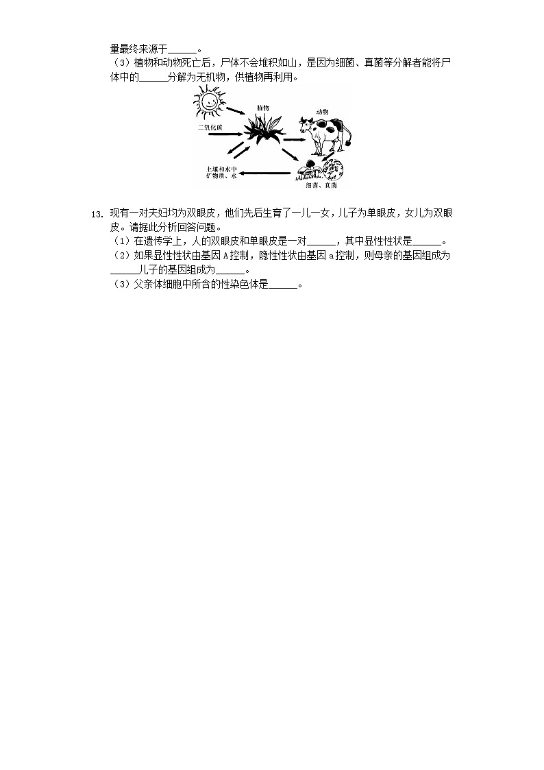 初中生物中考复习 甘肃省白银市靖远县三滩中学2019年中考生物模拟试卷（含解析）02