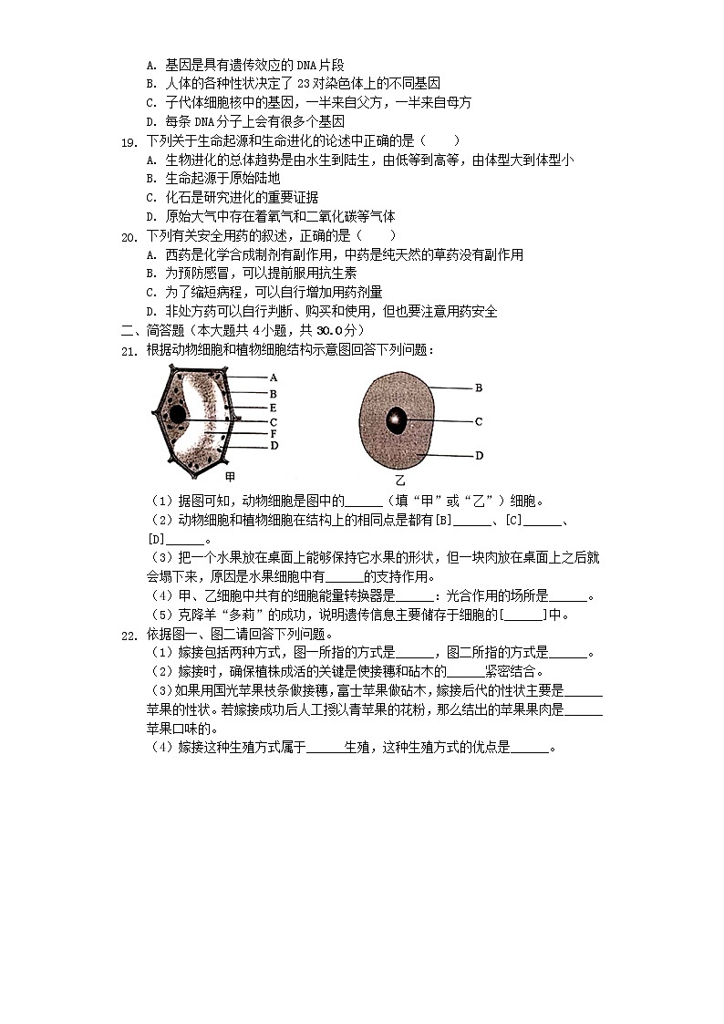 初中生物中考复习 河南省许昌市禹州市2019年中考生物二模试卷（含解析）第3页