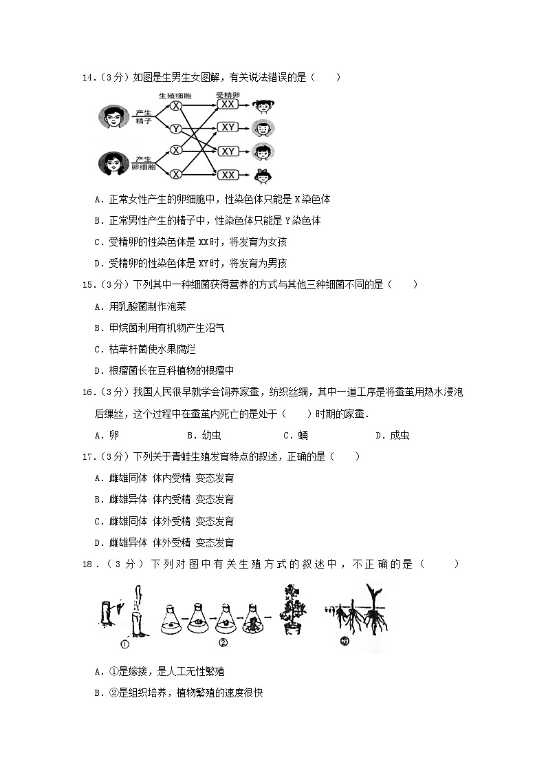 初中生物中考复习 湖南省湘潭市2019年中考生物仿真试卷（四）03