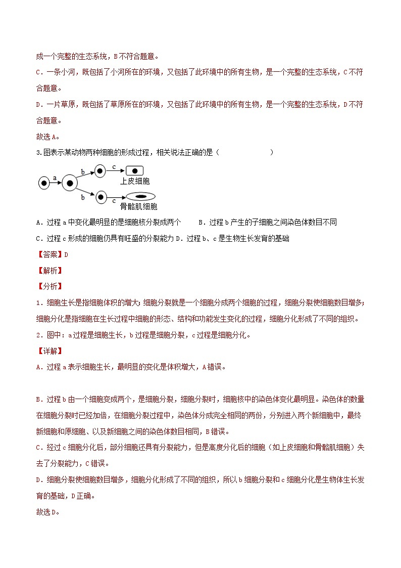 初中生物中考复习 黄金卷3-【赢在中考·黄金八卷】备战2022年中考生物全真模拟卷（全国通用）（解析版）02
