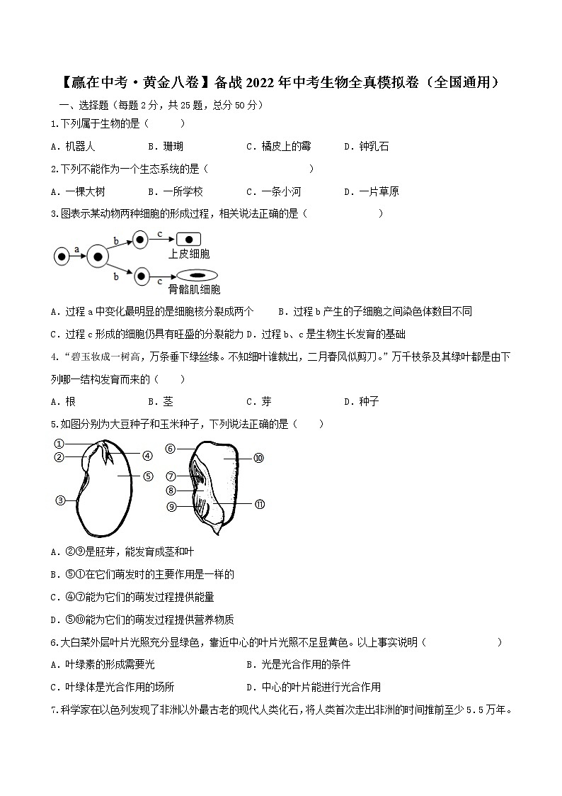 初中生物中考复习 黄金卷3-【赢在中考·黄金八卷】备战2022年中考生物全真模拟卷（全国通用）（原卷版）01